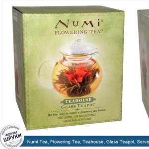 Numi_Tea__Flowering_Tea__Teahouse__Glass_Teapot__Serves_14_fl_oz__420_ml_.jpg