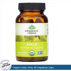 Organic_India__Amla__90_Vegetarian_Caps.jpg