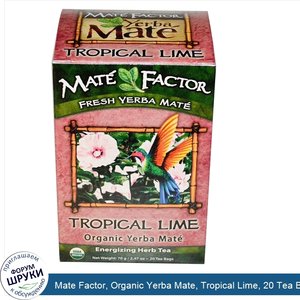 Mate_Factor__Organic_Yerba_Mate__Tropical_Lime__20_Tea_Bags__2.47_oz__70_g_.jpg