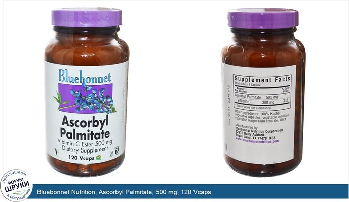 Bluebonnet Nutrition, Ascorbyl Palmitate, 500 mg, 120 Vcaps