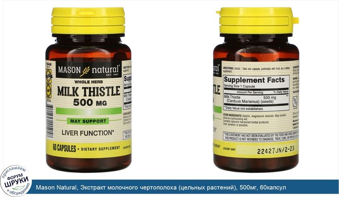 Mason Natural, Экстракт молочного чертополоха (цельных растений), 500мг, 60капсул