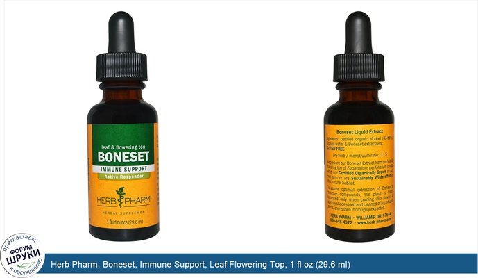 Herb Pharm, Boneset, Immune Support, Leaf Flowering Top, 1 fl oz (29.6 ml)