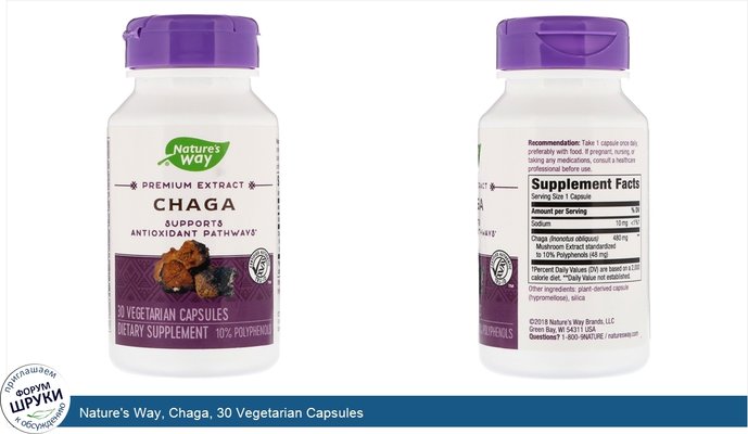 Nature\'s Way, Chaga, 30 Vegetarian Capsules