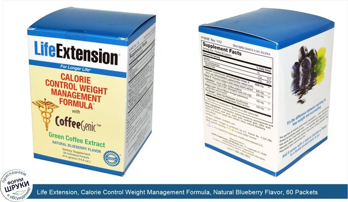 Life Extension, Calorie Control Weight Management Formula, Natural Blueberry Flavor, 60 Packets, 6.9 g Each