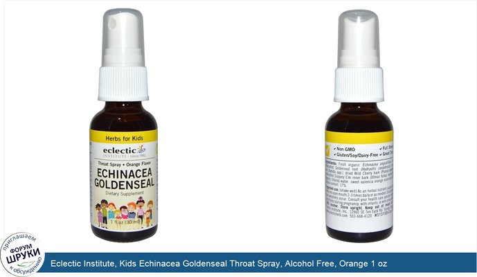 Eclectic Institute, Kids Echinacea Goldenseal Throat Spray, Alcohol Free, Orange 1 oz