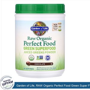 Garden_of_Life__RAW_Organic_Perfect_Food_Green_Super_Food__Chocolate__20.10_oz__570_g_.jpg