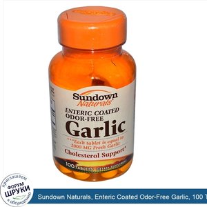 Sundown_Naturals__Enteric_Coated_Odor_Free_Garlic__100_Tablets.jpg