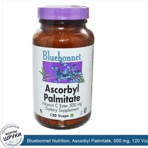 Bluebonnet_Nutrition__Ascorbyl_Palmitate__500_mg__120_Vcaps.jpg