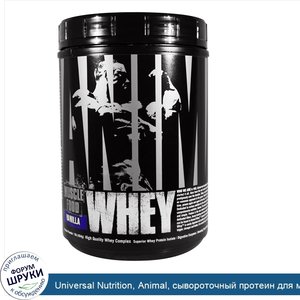 Universal_Nutrition__Animal__сывороточный_протеин_для_мышц__ваниль__1_фунт__454_г_.jpg