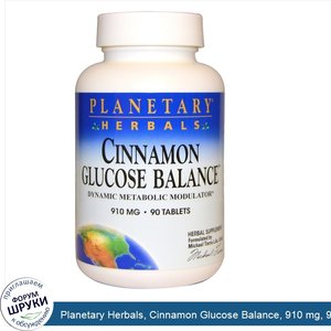 Planetary_Herbals__Cinnamon_Glucose_Balance__910_mg__90_Tablets.jpg