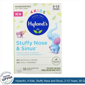 Hyland_s__4_Kids__Stuffy_Nose_and_Sinus__2_12_Years__50_Quick_Dissolving_Tablets.jpg