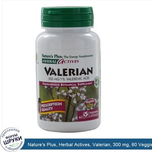 Nature_s_Plus__Herbal_Actives__Valerian__300_mg__60_Veggie_Caps.jpg