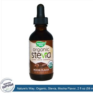 Nature_s_Way__Organic__Stevia__Mocha_Flavor__2_fl_oz__59_ml_.jpg