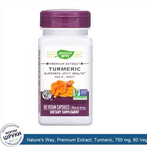 Nature_s_Way__Premium_Extract__Turmeric__750_mg__60_Vegan_Capsules.jpg