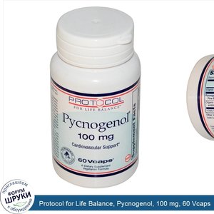 Protocol_for_Life_Balance__Pycnogenol__100_mg__60_Vcaps.jpg