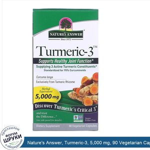 Nature_s_Answer__Turmeric_3__5_000_mg__90_Vegetarian_Capsules.jpg