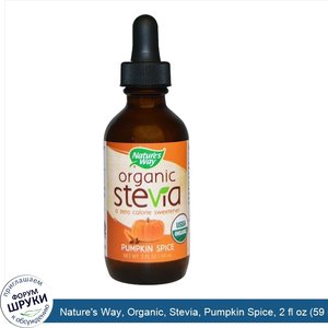 Nature_s_Way__Organic__Stevia__Pumpkin_Spice__2_fl_oz__59_ml_.jpg