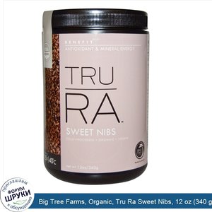 Big_Tree_Farms__Organic__Tru_Ra_Sweet_Nibs__12_oz__340_g_.jpg