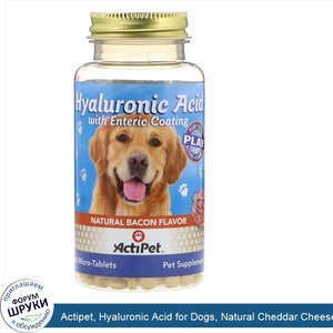 Actipet__Hyaluronic_Acid_for_Dogs__Natural_Cheddar_Cheese_Flavor__60_Micro_Tablets.jpg