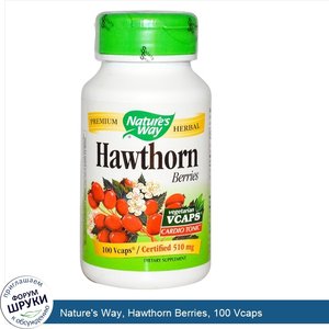 Nature_s_Way__Hawthorn_Berries__100_Vcaps.jpg