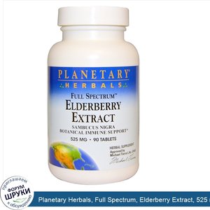 Planetary_Herbals__Full_Spectrum__Elderberry_Extract__525_mg__90_Tablets.jpg
