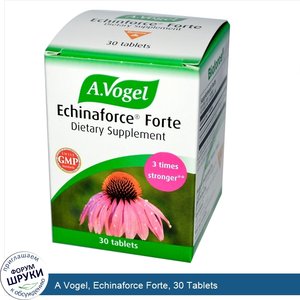 A_Vogel__Echinaforce_Forte__30_Tablets.jpg