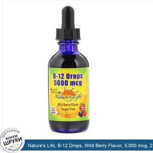 Nature_s_Life__B_12_Drops__Wild_Berry_Flavor__5_000_mcg__2_fl_oz__60_ml_.jpg