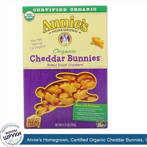Annie_s_Homegrown__Certified_Organic_Cheddar_Bunnies__Organic_Baked_Snack_Crackers__6.75_oz__1...jpg