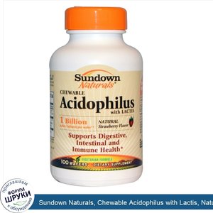 Sundown_Naturals__Chewable_Acidophilus_with_Lactis__Natural_Strawberry_Flavor__100_Wafers.jpg