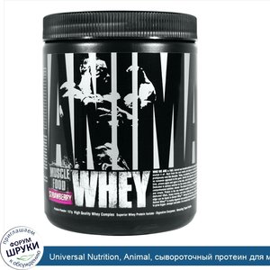 Universal_Nutrition__Animal__сывороточный_протеин_для_мышц__клубника__127_г.jpg