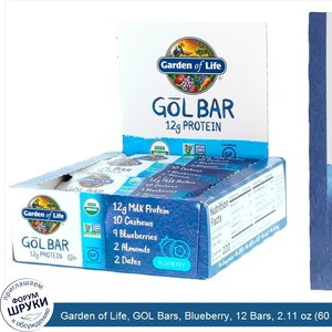 Garden_of_Life__GOL_Bars__Blueberry__12_Bars__2.11_oz__60_g__Each.jpg