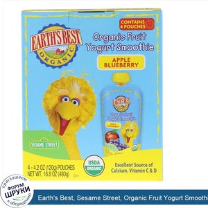 Earth_s_Best__Sesame_Street__Organic_Fruit_Yogurt_Smoothie__Apple_Blueberry__4_Pouches__4.2_oz...jpg