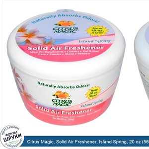 Citrus_Magic__Solid_Air_Freshener__Island_Spring__20_oz__566_g_.jpg