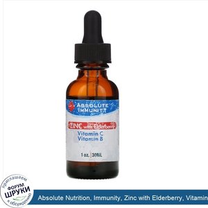 Absolute_Nutrition__Immunity__Zinc_with_Elderberry__Vitamin_C_Vitamin_B__1_oz__30_ml_.jpg