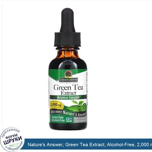 Nature_s_Answer__Green_Tea_Extract__Alcohol_Free__2_000_mg__1_fl_oz__30_ml_.jpg