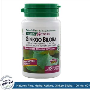 Nature_s_Plus__Herbal_Actives__Ginkgo_Biloba__100_mg__60_Veggie_Caps.jpg