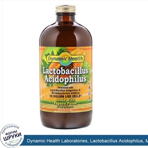 Dynamic_Health_Laboratories__Lactobacillus_Acidophilus__Made_with_Papaya_Puree__16_fl_oz__473_...jpg