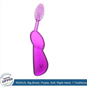 RADIUS__Big_Brush__Purple__Soft__Right_Hand__1_Toothbrush.jpg