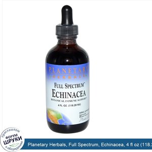 Planetary_Herbals__Full_Spectrum__Echinacea__4_fl_oz__118.28_ml_.jpg