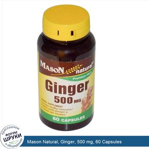 Mason_Natural__Ginger__500_mg__60_Capsules.jpg