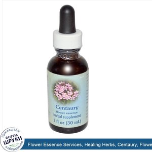 Flower_Essence_Services__Healing_Herbs__Centaury__Flower_Essence__1_oz__30_ml_.jpg