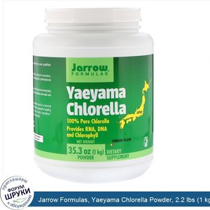 Jarrow_Formulas__Yaeyama_Chlorella_Powder__2.2_lbs__1_kg_.jpg