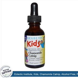 Eclectic_Institute__Kids__Chamomile_Catnip__Alcohol_Free__Peppermint_Flavored__1_fl_oz__30_ml_.jpg