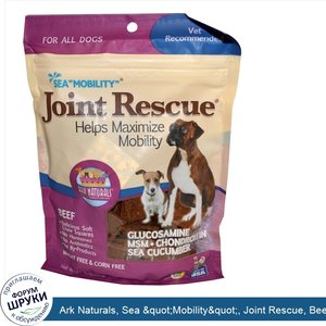 Ark_Naturals__Sea__quot_Mobility_quot___Joint_Rescue__Beef_Jerky__9_oz__255_g_.jpg