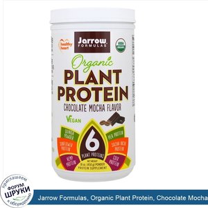 Jarrow_Formulas__Organic_Plant_Protein__Chocolate_Mocha_Flavor__16_oz__450_g_.jpg