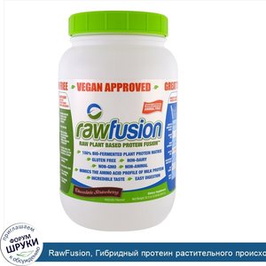 RawFusion__Гибридный_протеин_растительного_происхождения__шоколад_клубника__33.3_унции__943.2_г_.jpg