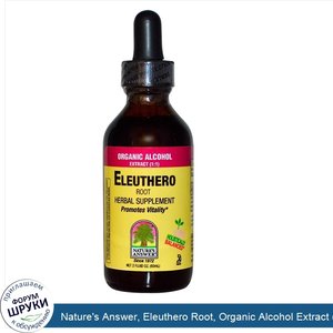 Nature_s_Answer__Eleuthero_Root__Organic_Alcohol_Extract__1_1___2_fl_oz__60_ml_.jpg