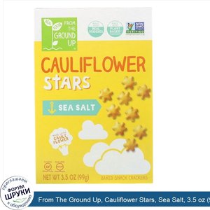 From_The_Ground_Up__Cauliflower_Stars__Sea_Salt__3.5_oz__99_g_.jpg