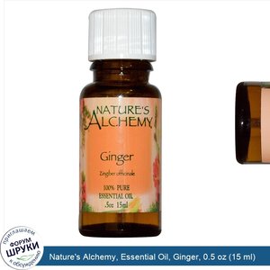 Nature_s_Alchemy__Essential_Oil__Ginger__0.5_oz__15_ml_.jpg