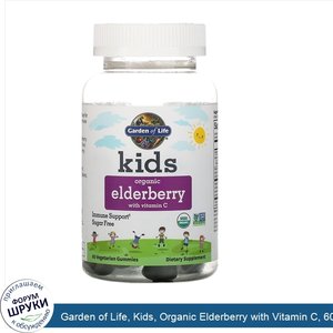 Garden_of_Life__Kids__Organic_Elderberry_with_Vitamin_C__60_Vegetarian_Gummies.jpg